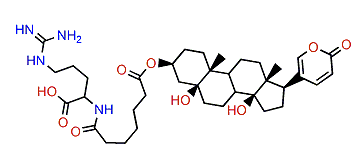3-(N-Pimeloyl argininyl)-telocinobufagin